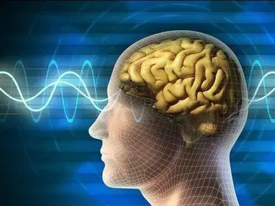 مغز هنگام خواب سعی می‌کند آینده را پیش‌بینی کند