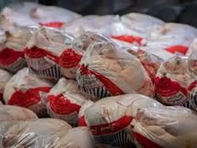 ۳۰۰ تن مرغ منجمد با قیمت دولتی در گلستان توزیع می‌شود