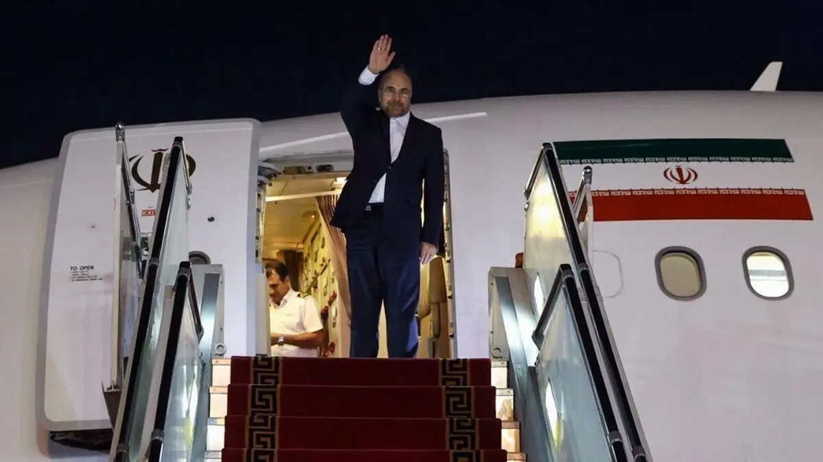 رئیس مجلس و هیأت پارلمانی همراه وارد تهران شدند