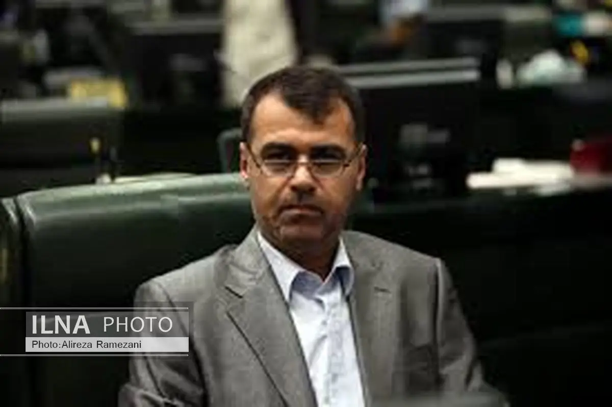 نجفنژاد: مجلس نهم از رای ندادن به سلطانیفر پشیمان شد