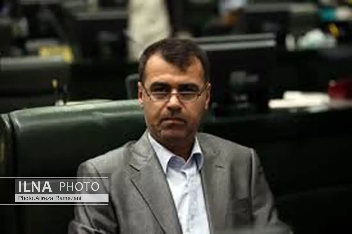 نجف‌نژاد: مجلس نهم از رای ندادن به سلطانی‌فر پشیمان شد