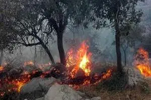 آتش‌سوزی جنگل و مرتع آبخوکان منگشت خوزستان مهار شد+فیلم