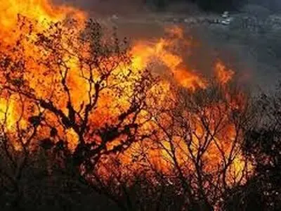 مهار آتش‌سوزی حاشیه رودخانه قوره‌تو در شهرستان قصرشیرین