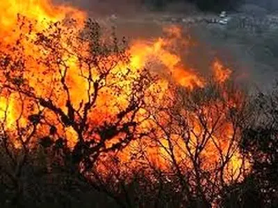 مهار آتش‌سوزی حاشیه رودخانه قوره‌تو در شهرستان قصرشیرین