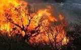 مهار آتش‌سوزی حاشیه رودخانه قوره‌تو در شهرستان قصرشیرین