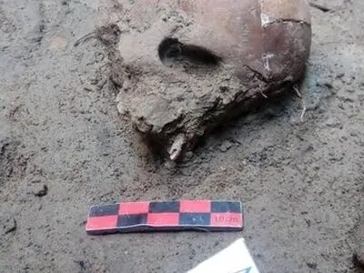 کشف جمجمه یک معلول از هزاره‌های گذشته در تپه اشرف اصفهان