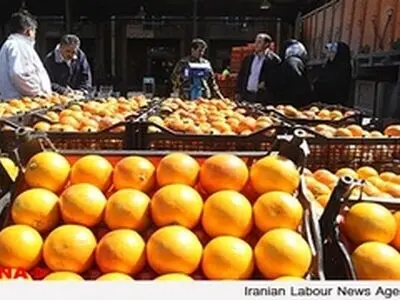 بیمه کشاورزی ساختار درستی ندارد
