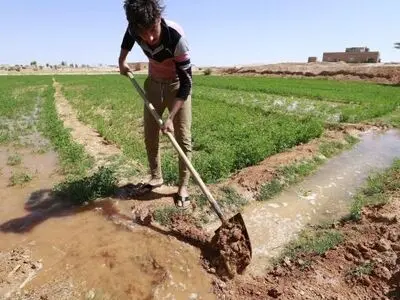 ادامه اعتراض کارگران فصلی نیشکر «میان آب» برای بازگشت به کار