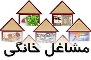 تحقق 92 درصدی پرداخت تسهیلات مشاغل خانگی در استان مرکزی