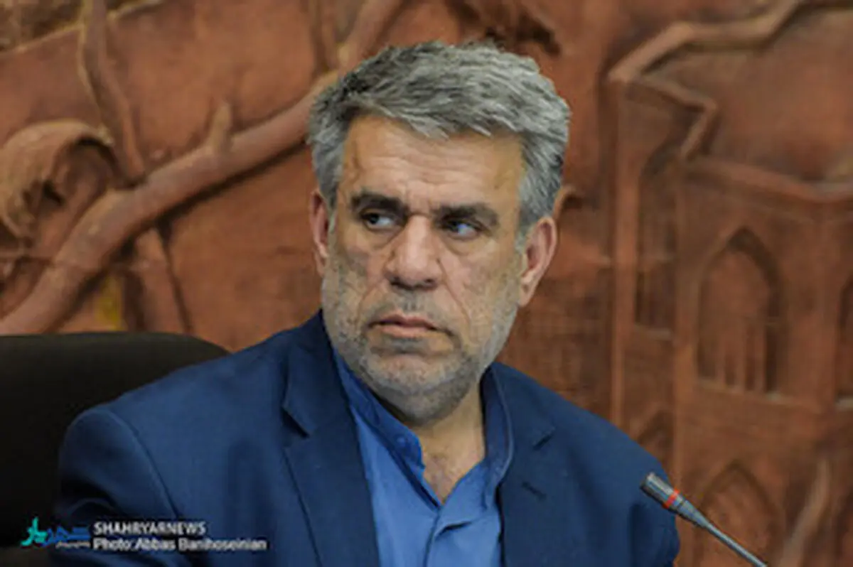 اصلاح قانون مالیات بر ارزش افزوده باید با مشورت شورا تصویب می‌شد