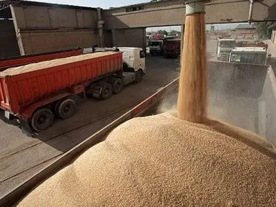راه‌اندازی ۶ مرکز خرید گندم و کلزا در شوش