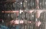 کشف ۴۳ ماینر غیرمجاز در یک مزرعه پرورش شترمرغ در فارس