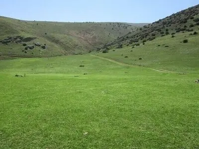 11 فقره طرح مرتع‌داری در استان مرکزی احاله شد 