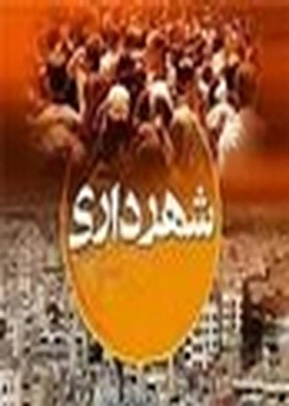 ساماندهی رودخانه های درون شهری از وظایف اصلی شهرداری است