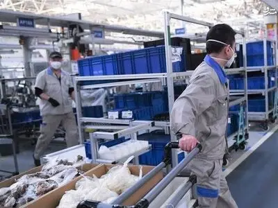 مصونیت‌های «طرح حمایت از کارخانه‌جات» فسادآور است/ خیلی از اثرات جرم از بین خواهد رفت