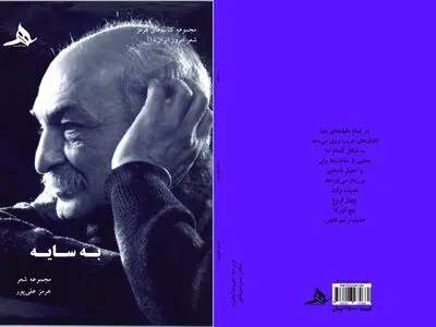 «به سایه»، جدیدترین مجموعه شعر هرمز علی پور شاعر خوزستانی منتشر شد