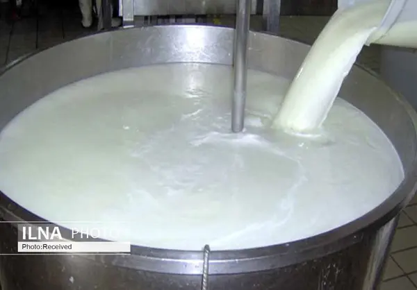۱۳۷ هزار تن شیر در واحدهای دامی قزوین تولید شد