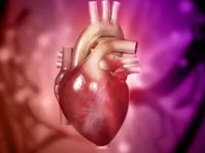 بدبینی می‌تواند شما را به بیماری قلبی مبتلا کند