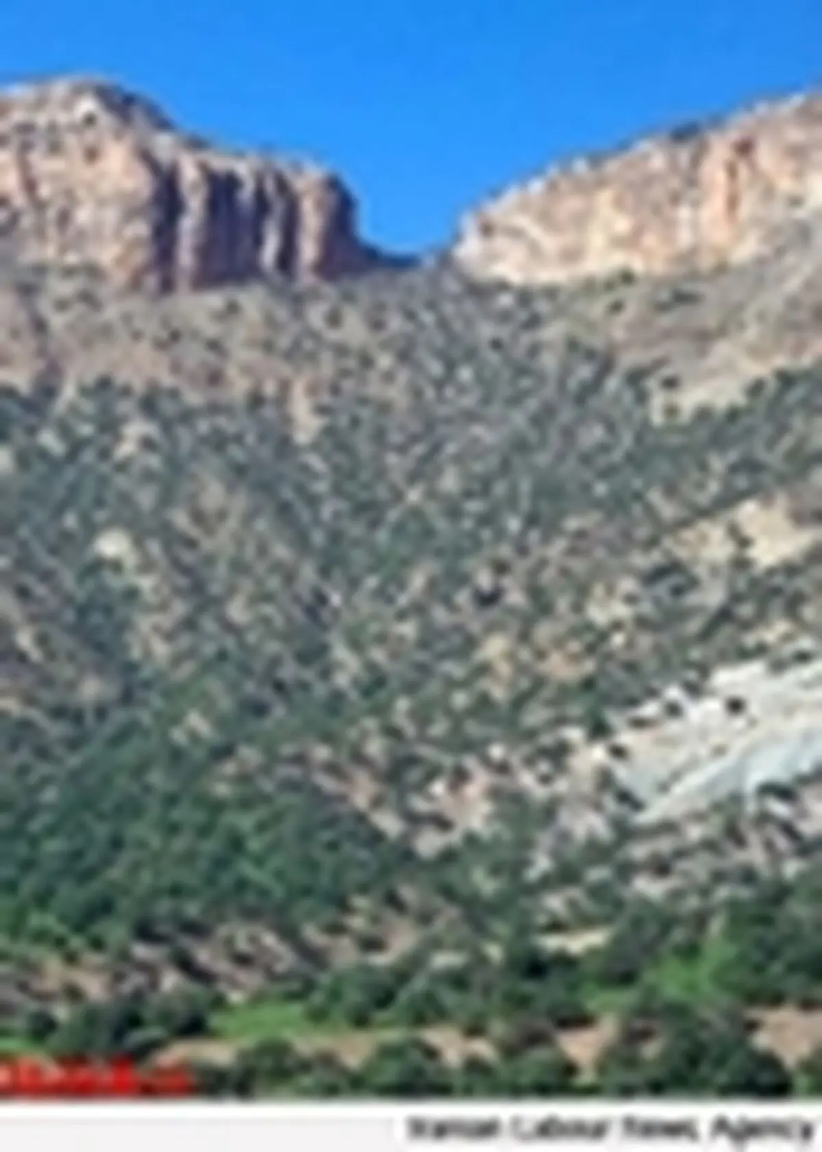 راه اندازی یک پایگاه دیگر در راستای اجرای طرح مسیر سبز - ساحل پاک در استان تهران