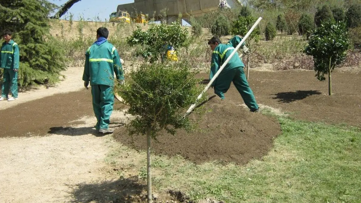 پارک تفریحی در ورودی شهرکیاسراحداث می شود