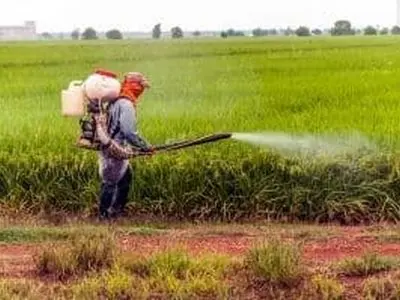 مرگ دلخراش یک کشاورز  با میل گاردان تراکتور