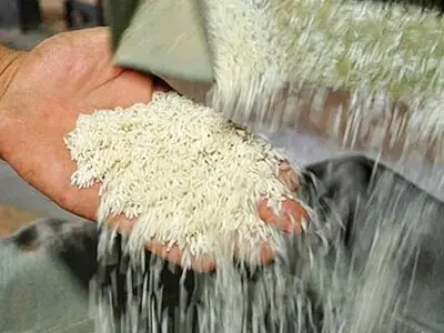 کالاهای استراتژیک تقریبا تامین شده است/ تاثیر افزایش نرخ ارز بر قیمت کالاهای مصرفی