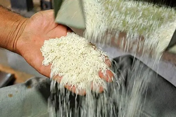 قیمت برنج در میادین میوه و تره بار