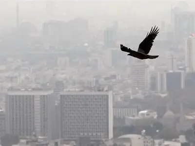 قدرت خرید وام مسکن آب رفت/ خرید ۸.۳ متر با وام ۹۶۰ میلیونی 