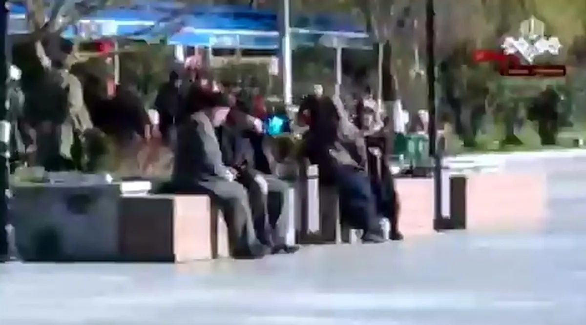 زاد و ولد در ترکیه نزولی شد + فیلم