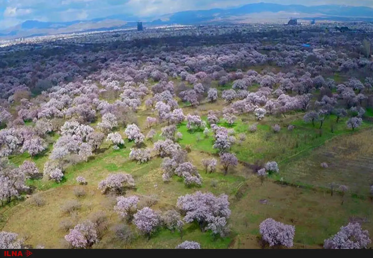 استاندار: باغستان قزوین متولی مشخصی ندارد  / باغستان سنتی قزوین در مسیر ثبت جهانی