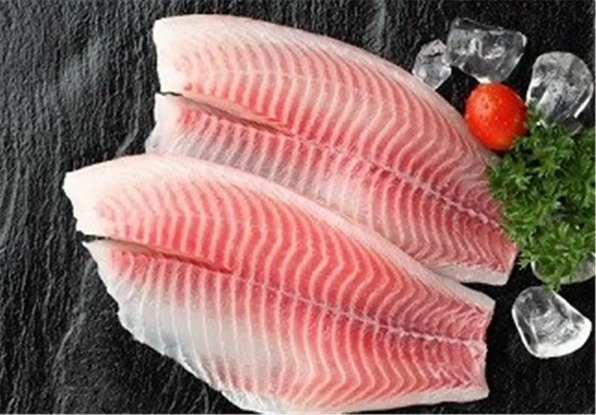 تیلاپیای ایرانی هنوز به بازار نیامده است/ قیمت مناسب، بازار تیلاپیا را برای چین گرم نگه می دارد