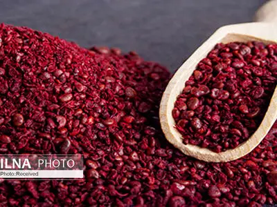 طرز تهیه سماق در خانه