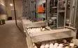 تولید ۱۲۶ تن تخم مرغ در زاهدان