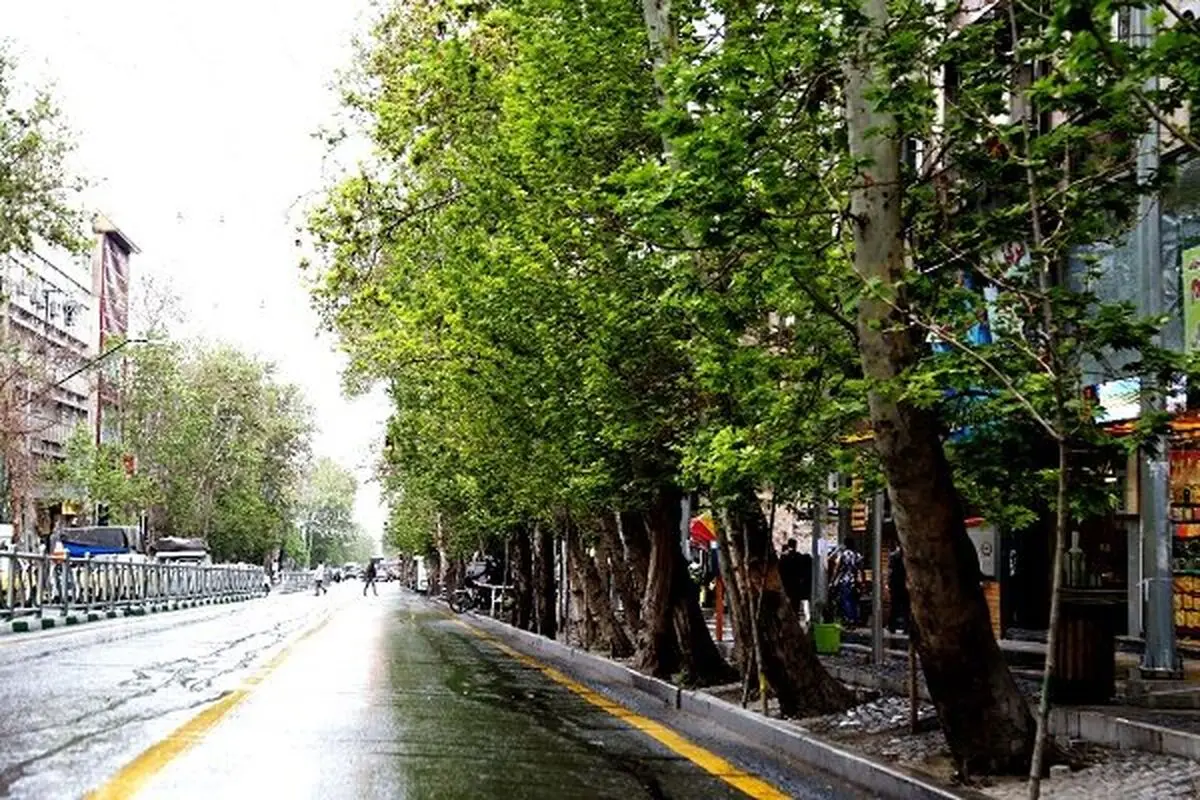 دادستان تهران مامور بررسی علت خشک شدن درختان خیابان ولیعصر