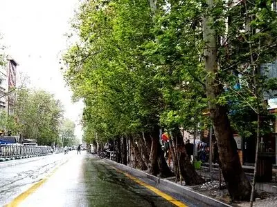 دادستان تهران مامور بررسی علت خشک شدن درختان خیابان ولیعصر