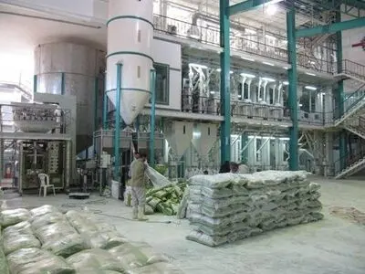 بیش از 930 شالیکوبی در مازندران فعال است