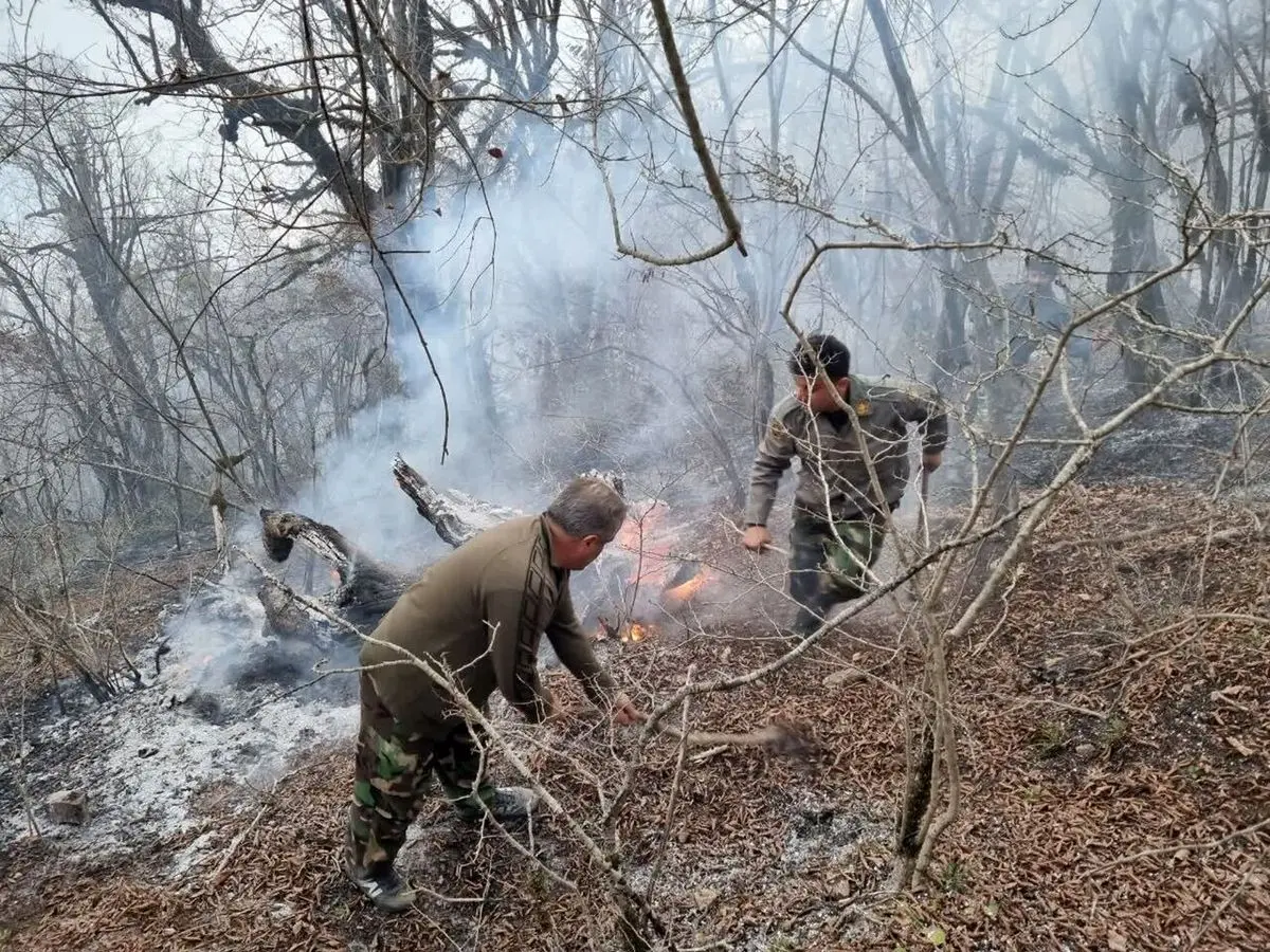 مصدومیت سه نفر از کارکنان منابع طبیعی مازندران بر اثر سقوط از صخره 