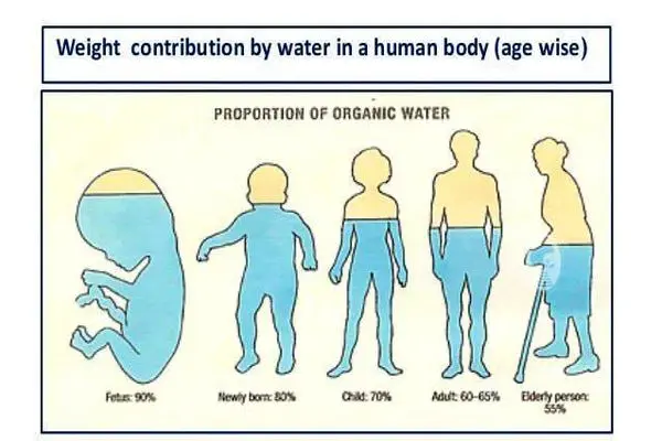 درصد آب بدن در سنین مختلف