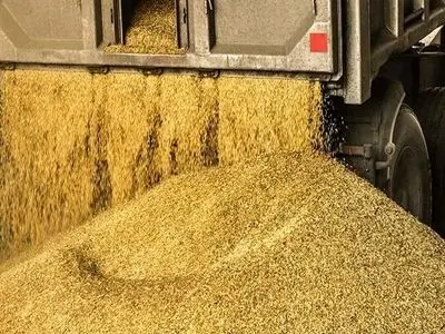 تسریع در ترخیص بیش از ۹۲ هزار تن کالای اساسی کشاورزی