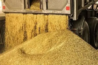 تسریع در ترخیص بیش از ۹۲ هزار تن کالای اساسی کشاورزی