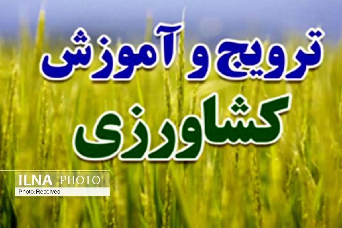 ۲۸ دوره آموزشی بخش کشاورزی در قزوین برگزار شد
