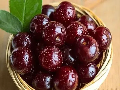 ۴ خواص گیلاس برای دیابتی ها 