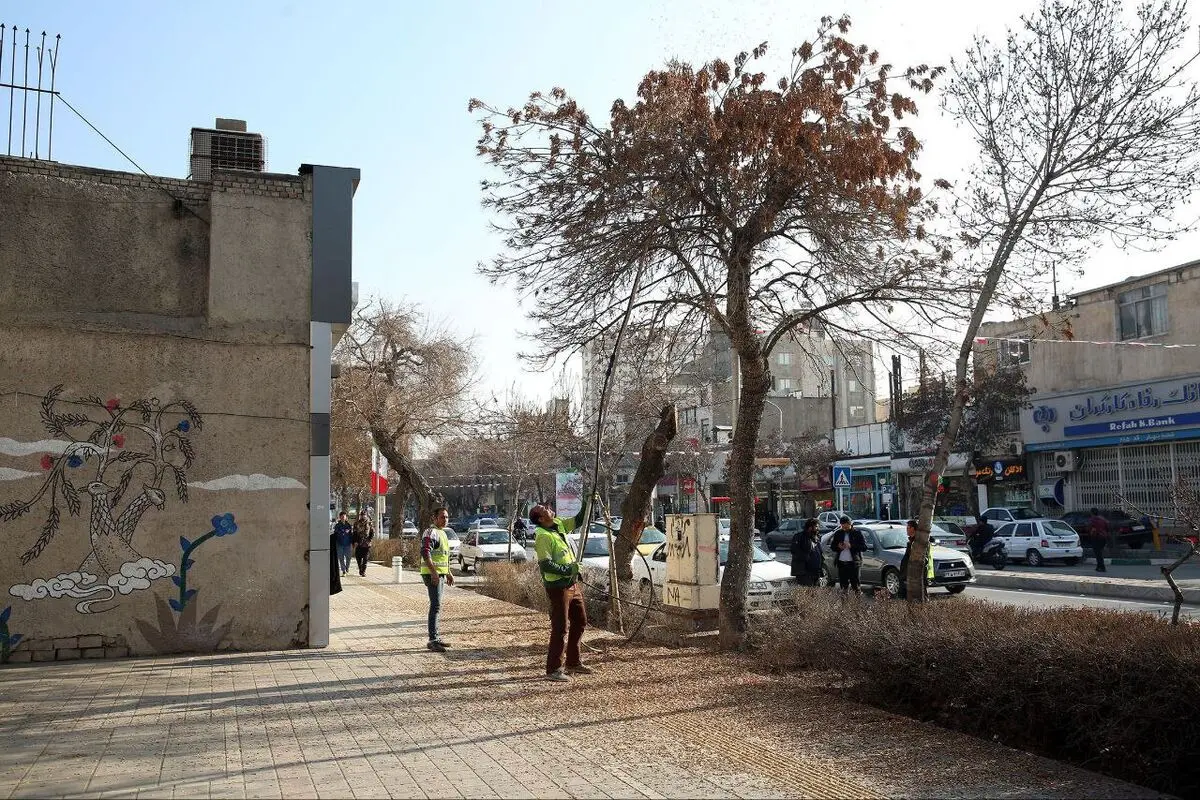 جمع آوری بیش از  ۱۰ تن بذر در سطح شهر مشهد