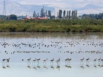 آب به تالاب‌های آذربایجان‌غربی جان دوباره بخشید/ درگه‌سنگی نقده ۱۰۰ درصد آبگیری شد