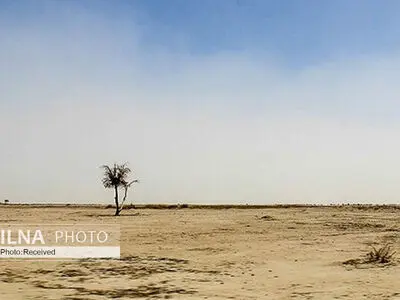 به شمارش افتادن نفس جازموریان با افزایش کانون‌های گرد و غبار در تالاب/ پیش‌بینی شرایط بحرانی‌تر برای هامون سیستان و بلوچستان