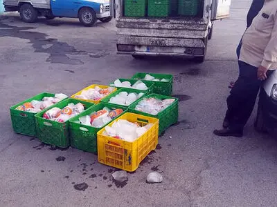 کشف و توقیف محموله مرغ های غیربهداشتی در کرمانشاه