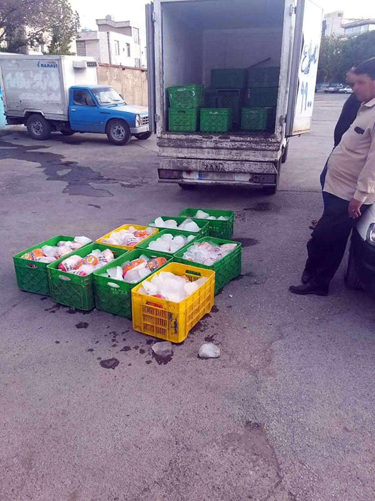 کشف و توقیف محموله مرغ های غیربهداشتی در کرمانشاه