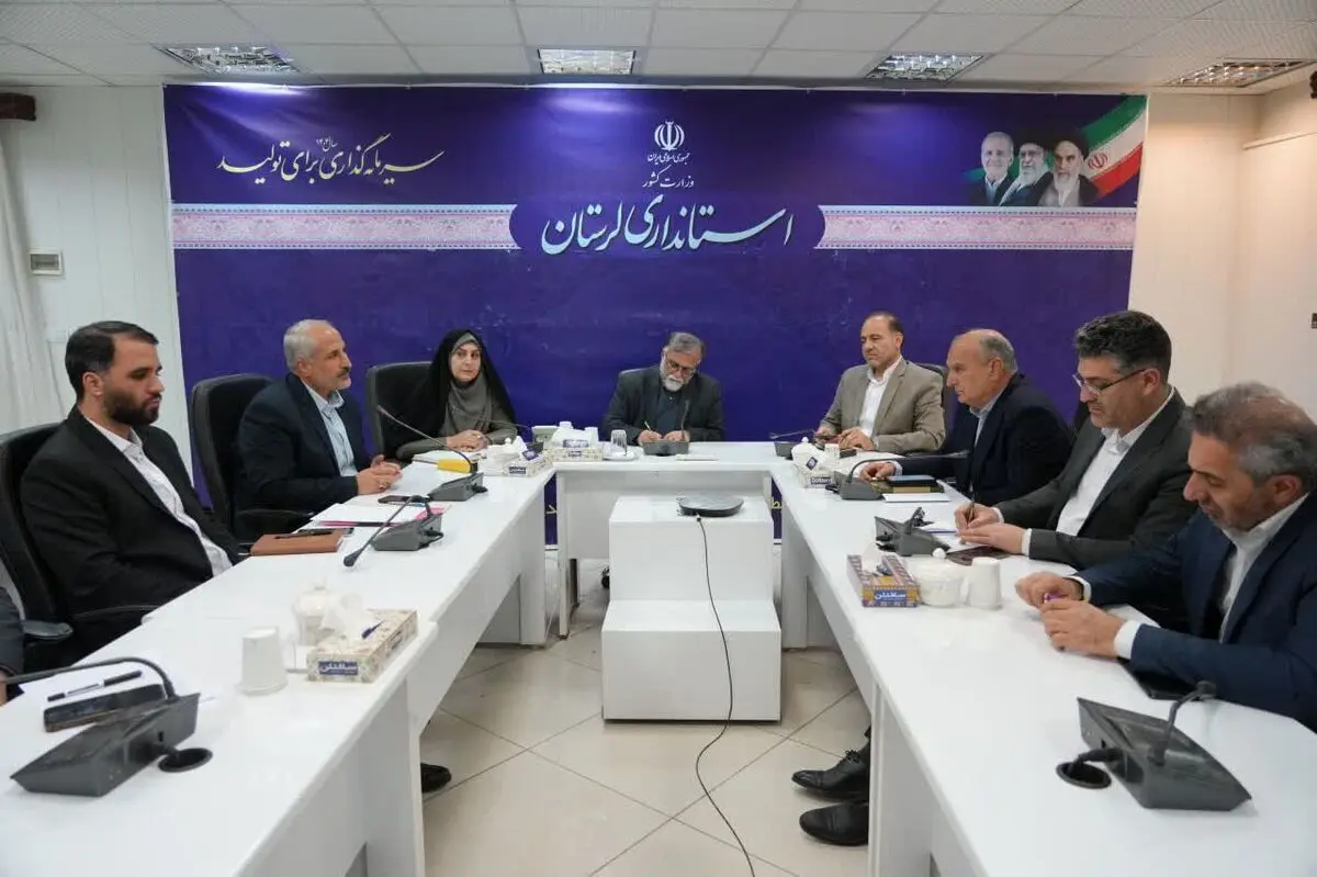 لزوم همکاری دستگاه‌های اجرایی برای استقرار بیمارستان صحرایی در رومشکان 