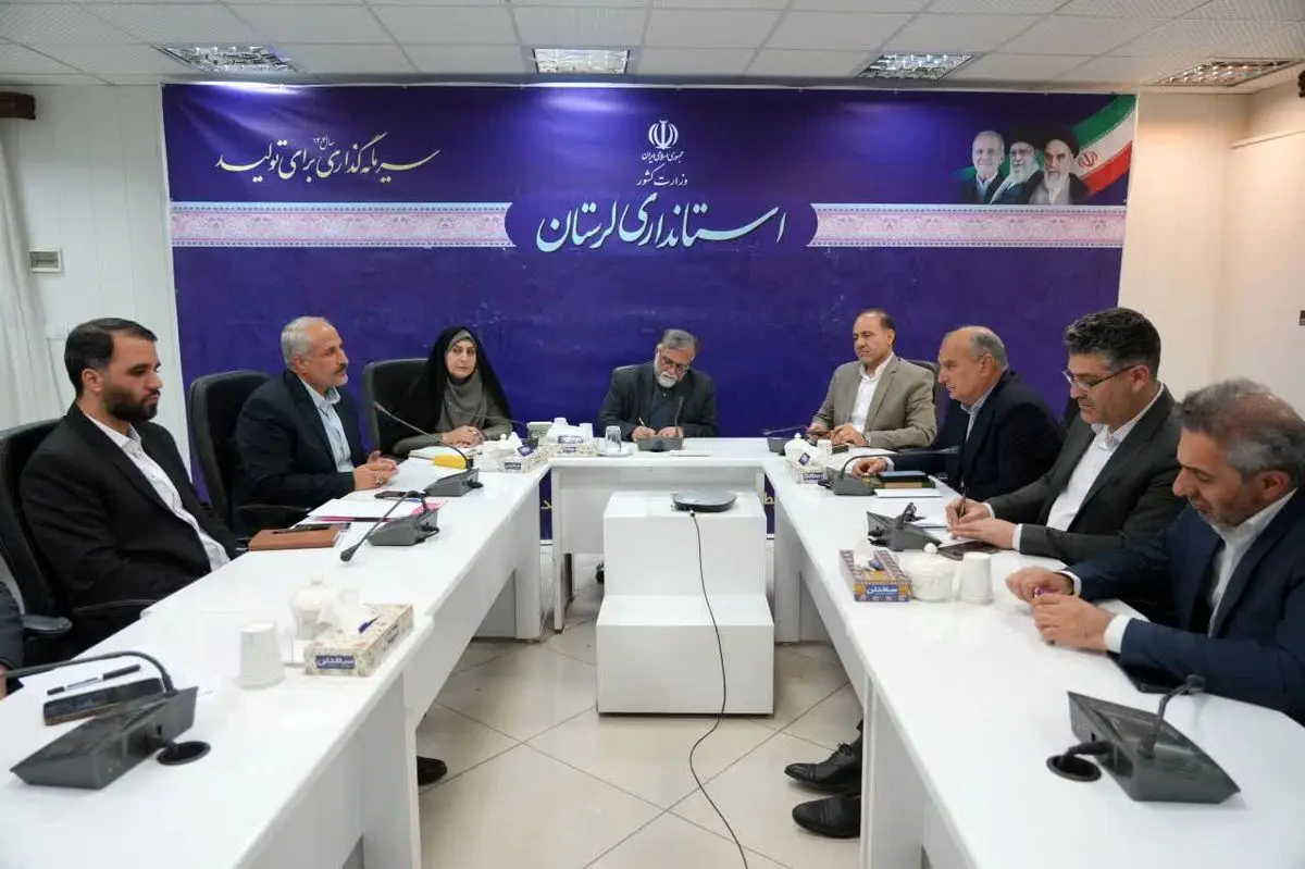 لزوم همکاری دستگاه‌های اجرایی برای استقرار بیمارستان صحرایی در رومشکان 