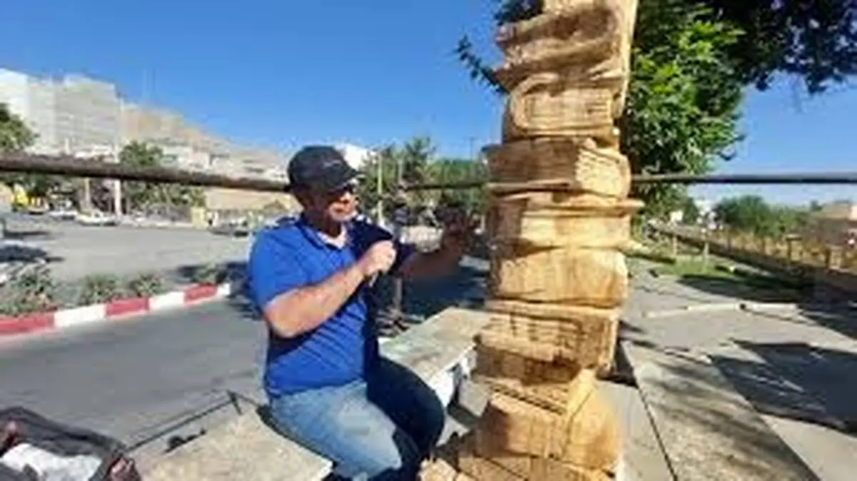 هنرمندان شیرازی به درختان خشکیده جان دوباره دادند/فیلم